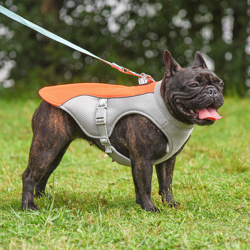 Keep Your Pet Cool This Summer with Our Breathable Cooling Vest!